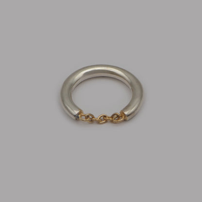 m.s chain ring
