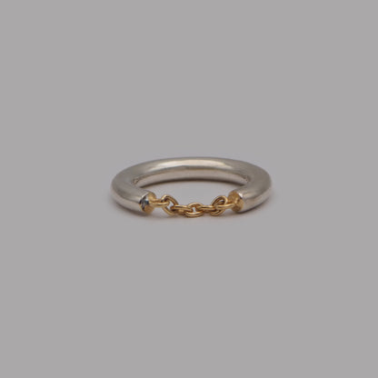 m.s chain ring