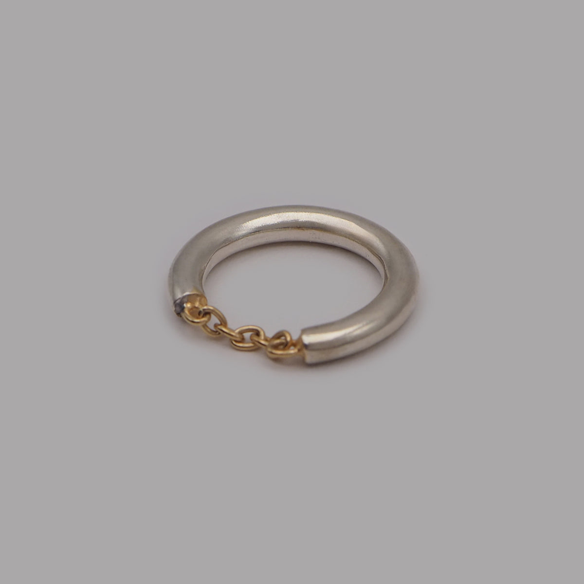 m.s chain ring